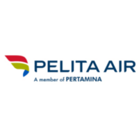 Lowongan Kerja PT Pelita Air Service (Pelita Air) Manager Route, Network & Reveune Management